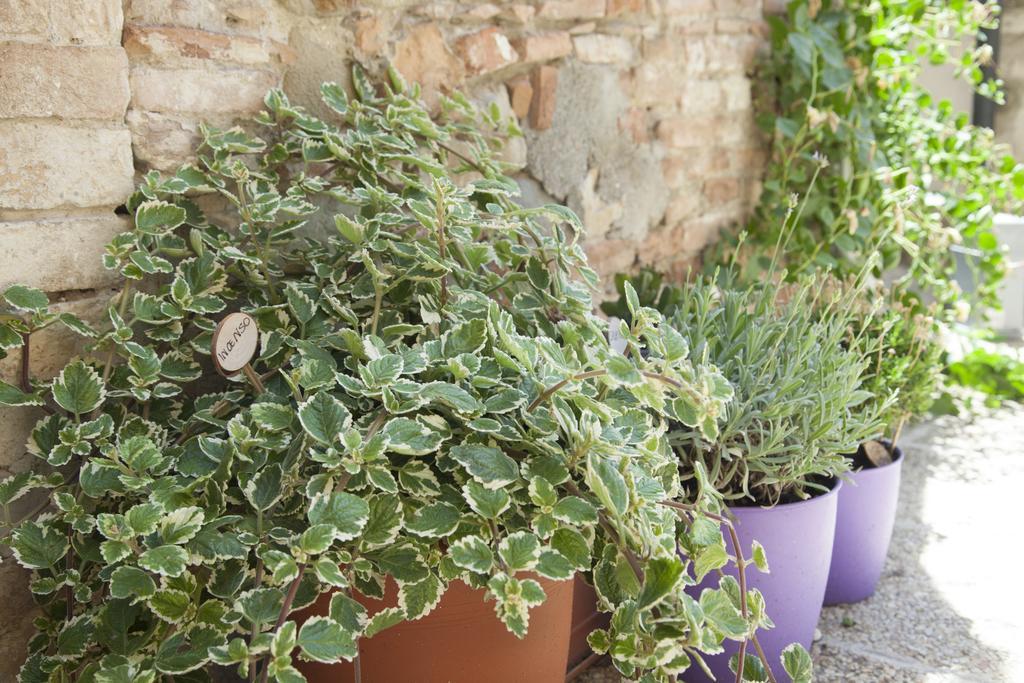 Break And Bed Bed & Breakfast Perugia Exterior photo